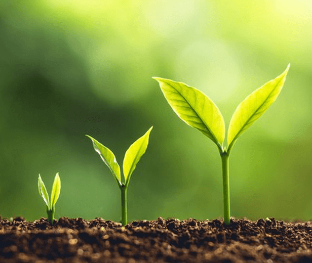 Improving the Maturity of your Security Program