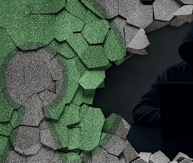 Open Source Vulnerability Management