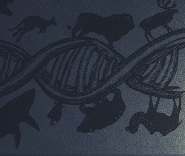 The Evolution Of Malware Fileless Exploits