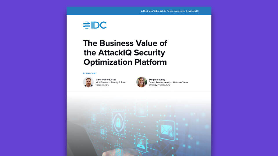 IDC Business Value Study Graphic