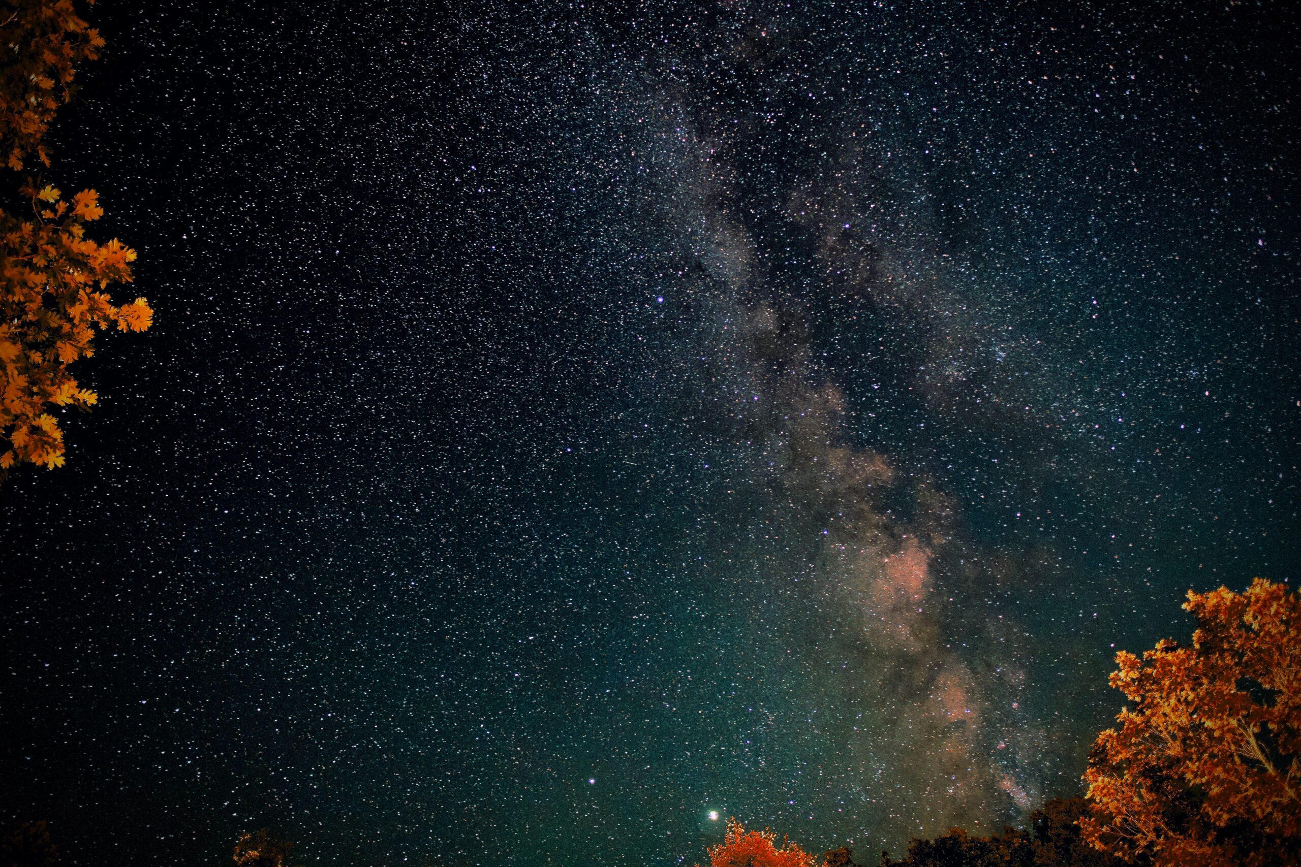 Looking Back at 2022: Adoption at Scale, Research, and Validated Industry Analysis 