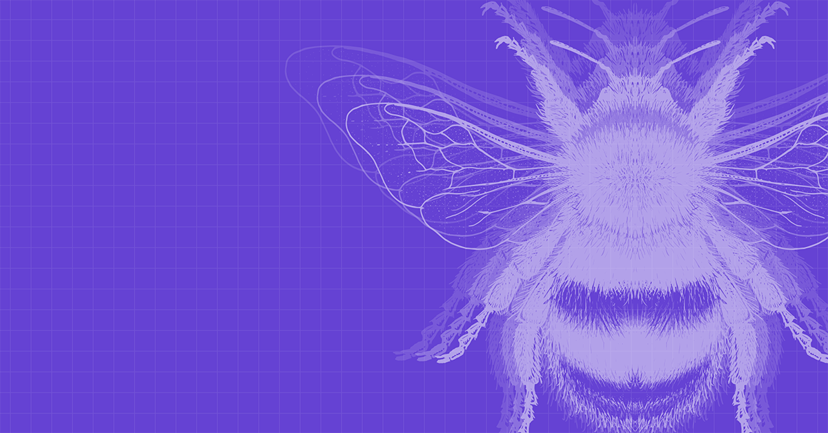 Emulating the Shared Cybercrime Loader BumbleBee